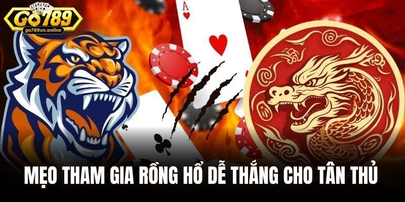 Mẹo tham gia Rồng Hổ dễ thắng cho tân thủ tại Go789