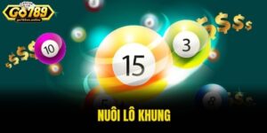 Nuôi lô khung